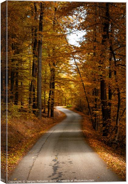 Road in the autumn forest. Canvas Print by Sergey Fedoskin