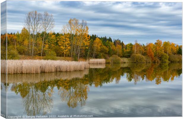 Forest lake in cloudy, autumn weather. Late fall. Europe. Canvas Print by Sergey Fedoskin