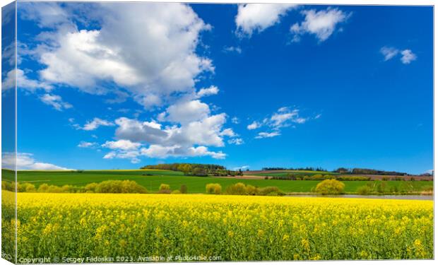 Rural area with rapeseed fields and forests under the blue sky. Canvas Print by Sergey Fedoskin