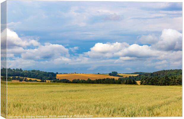 Wheat field on an agriculture farm Canvas Print by Sergey Fedoskin