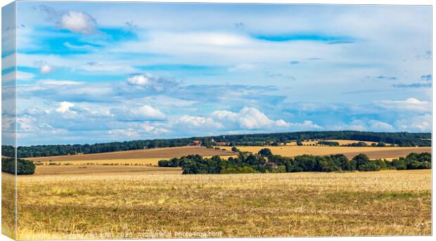 Summer rural landscape with fields and forests Canvas Print by Sergey Fedoskin