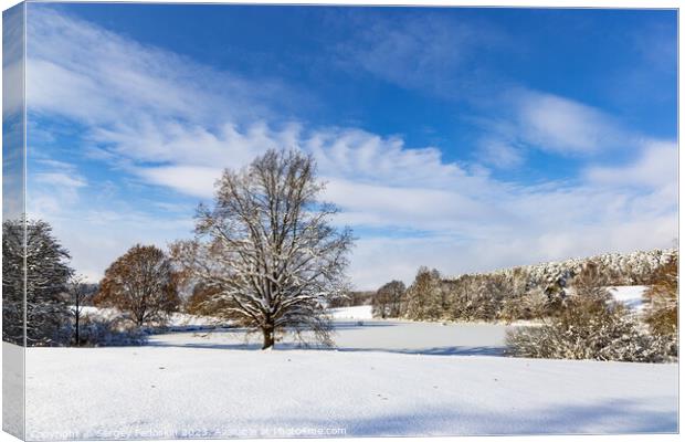 Countryside after heavy snowfall in central Europe Canvas Print by Sergey Fedoskin