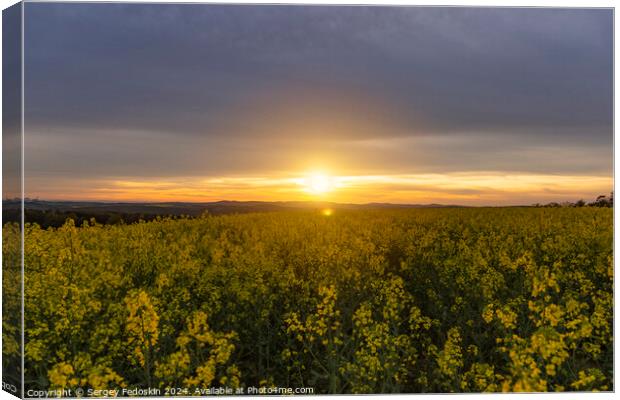 Yellow rapeseed field. Blooming canola flowers. Canvas Print by Sergey Fedoskin