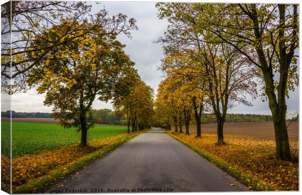Rural road in European countrisidet. Canvas Print by Sergey Fedoskin