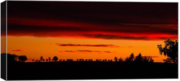 Orange sunset ower fields. Canvas Print by Sergey Fedoskin