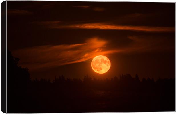 Blood red moon. Canvas Print by Sergey Fedoskin