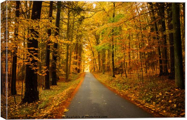 Road in autumn forest. Canvas Print by Sergey Fedoskin