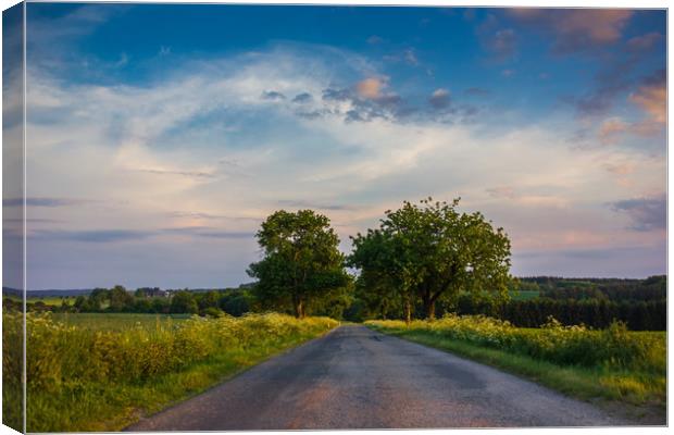 Rural road in European countriside at sunset. Canvas Print by Sergey Fedoskin