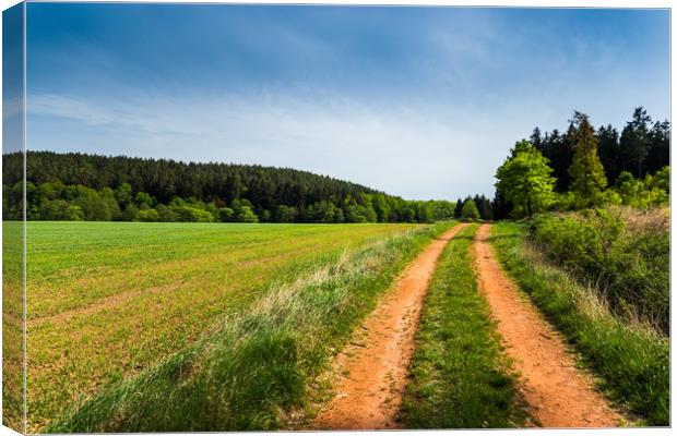 Countryside road in summer field. Canvas Print by Sergey Fedoskin