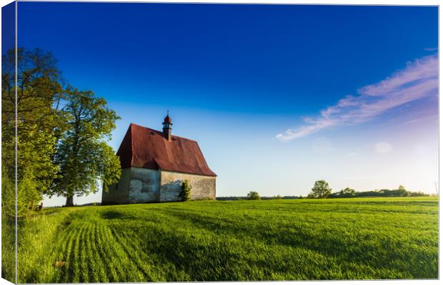 Old church in the summer field. Canvas Print by Sergey Fedoskin