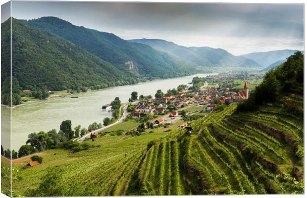Wachau valley with the Danube river and vineyards. Canvas Print by Sergey Fedoskin
