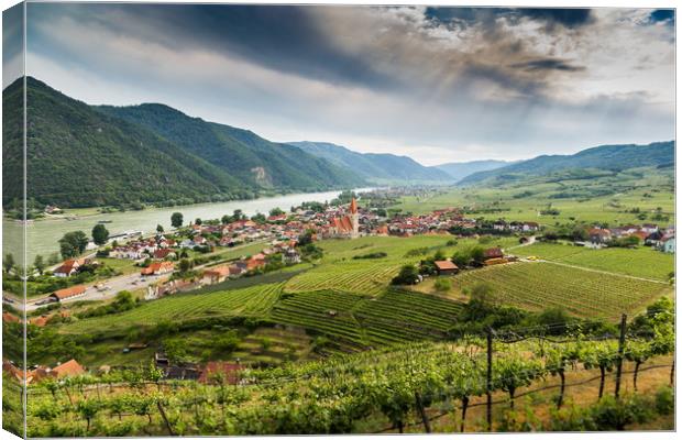 Wachau valley with Danube river and vineyards. Canvas Print by Sergey Fedoskin