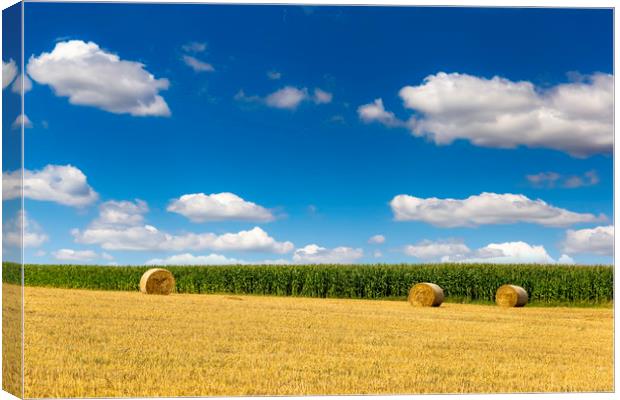 Rural nature in the farm land. Canvas Print by Sergey Fedoskin