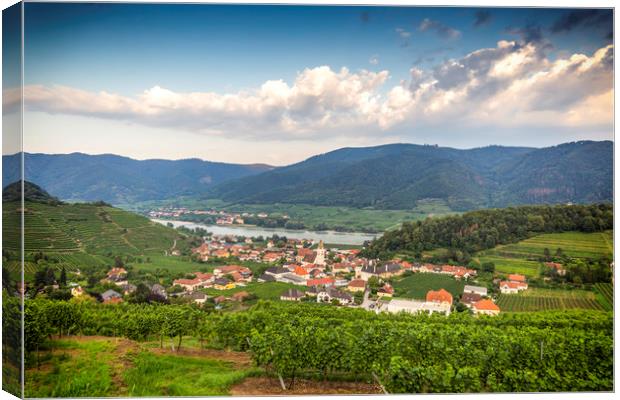 View to tonw and old church from green vineyards.  Canvas Print by Sergey Fedoskin