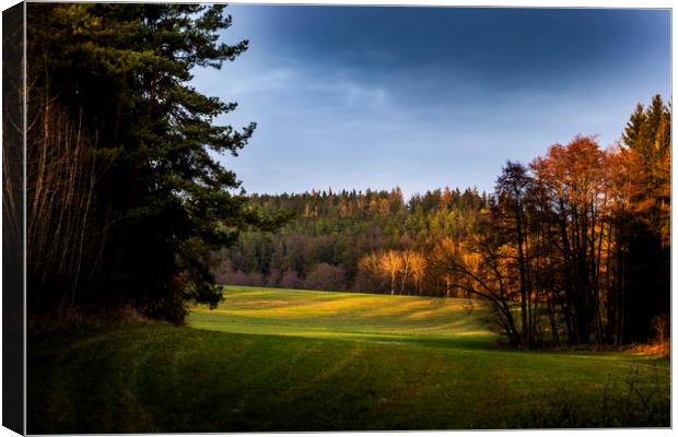 Picturesque landscape, field and forest on sunset Canvas Print by Sergey Fedoskin