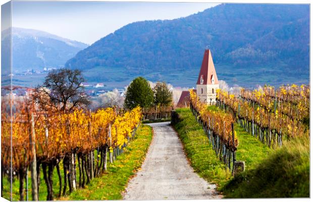 Weissenkirchen. Wachau valley. Lower Austria. Autu Canvas Print by Sergey Fedoskin