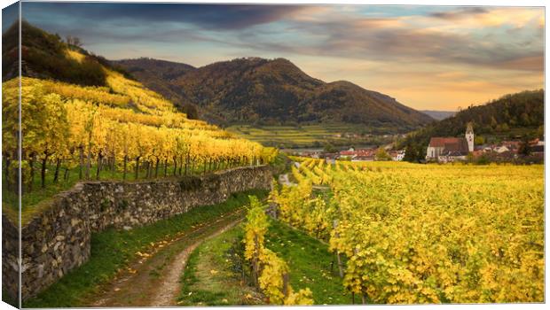 Famous Spitz village with autumn vineyards in Wach Canvas Print by Sergey Fedoskin