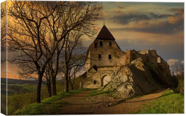 Castle Tocnik. Canvas Print by Sergey Fedoskin