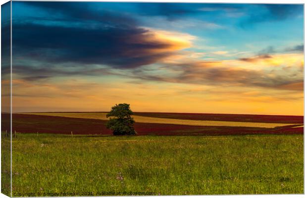 Clover field and sunset sky. Canvas Print by Sergey Fedoskin