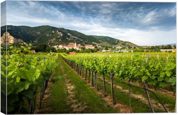 Vineyards in Wachau. Canvas Print by Sergey Fedoskin