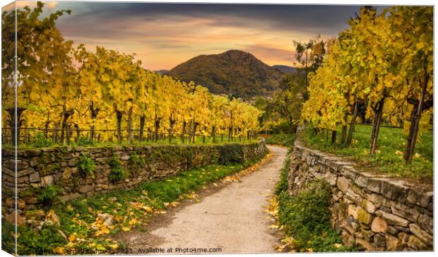 Wachau valley, Spitz, Lower Austria. Canvas Print by Sergey Fedoskin