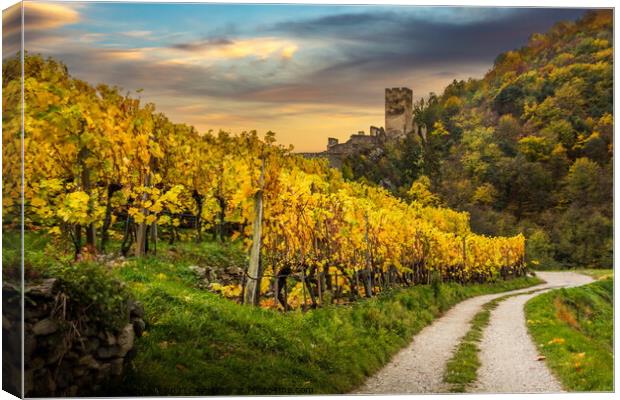 Autumn vineyards against old ruin of Hinterhaus castle in Spitz. Canvas Print by Sergey Fedoskin