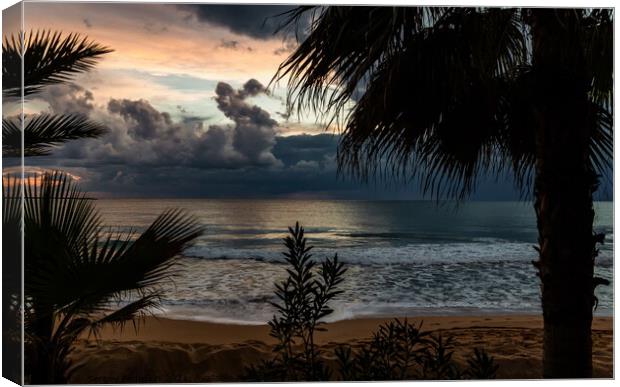 Dramatic sunset over the sea with palm trees. Canvas Print by Sergey Fedoskin