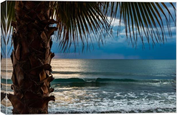 Dramatic sunset over the sea with palm trees. Canvas Print by Sergey Fedoskin