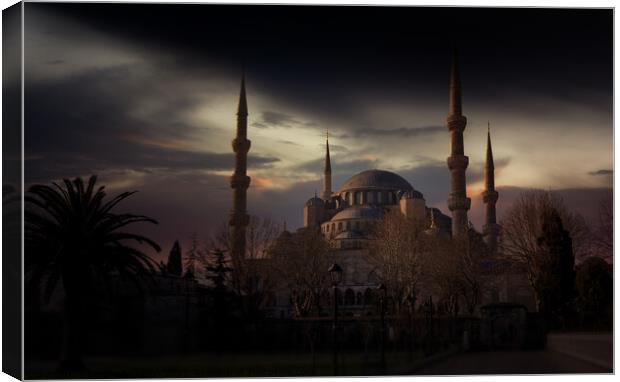 Sultan Ahmed Mosque (Blue mosque). Istanbul, Turkey. Canvas Print by Sergey Fedoskin