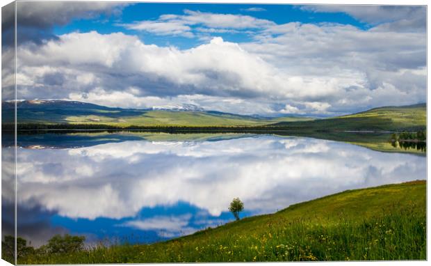 Reflection Canvas Print by Hamperium Photography