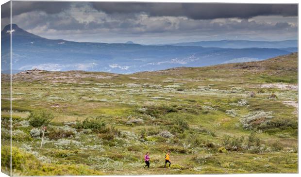 trail running Canvas Print by Hamperium Photography