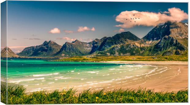 Lofoten Norway Canvas Print by Hamperium Photography