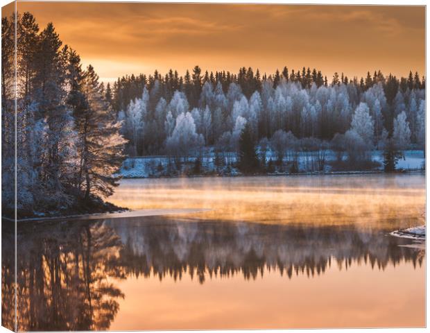 Dreamy winter sunset Canvas Print by Hamperium Photography
