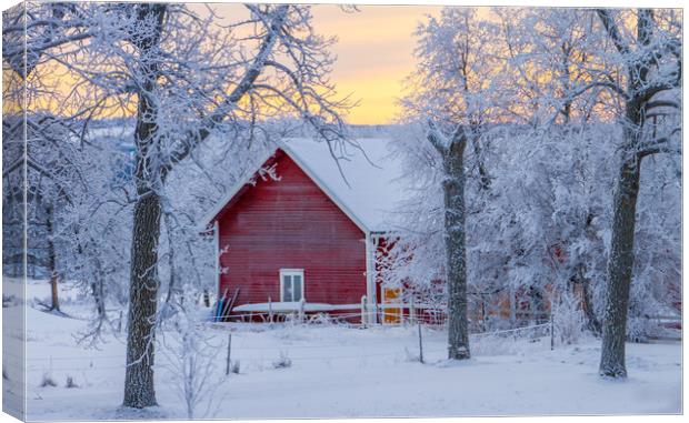 A cold winter day in Sweden Canvas Print by Hamperium Photography