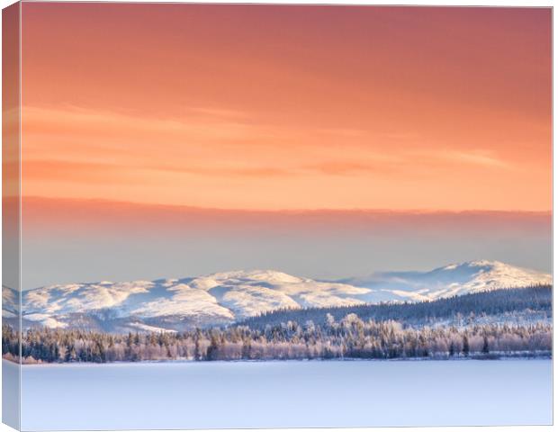 Frozen lake Canvas Print by Hamperium Photography
