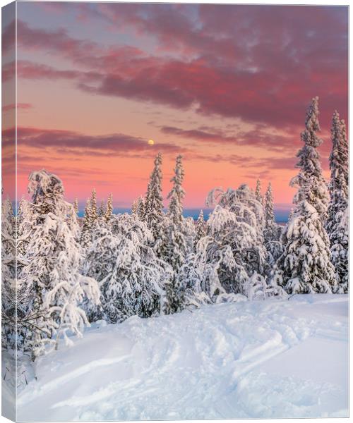 Åre Sweden in the winter. Canvas Print by Hamperium Photography