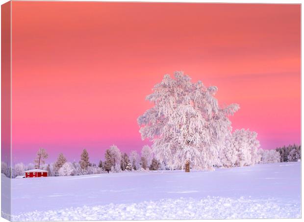 Sunset Jämtland Sweden Canvas Print by Hamperium Photography