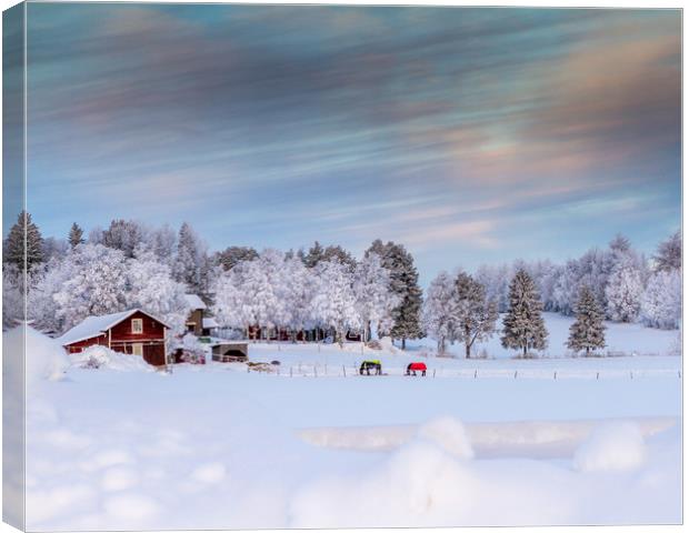 Winter in Sweden Canvas Print by Hamperium Photography