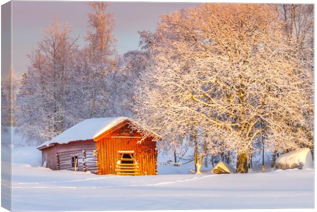 Winter in Jämtland Sweden Canvas Print by Hamperium Photography