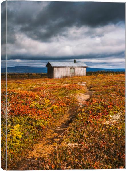 Autumn in Jämtland Sweden Canvas Print by Hamperium Photography