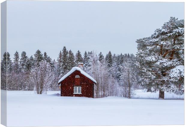 Snow in Sweden Canvas Print by Hamperium Photography
