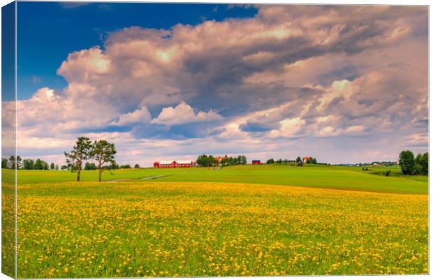 Spring in Sweden  Canvas Print by Hamperium Photography