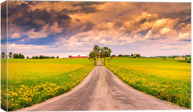 Road into spring Canvas Print by Hamperium Photography