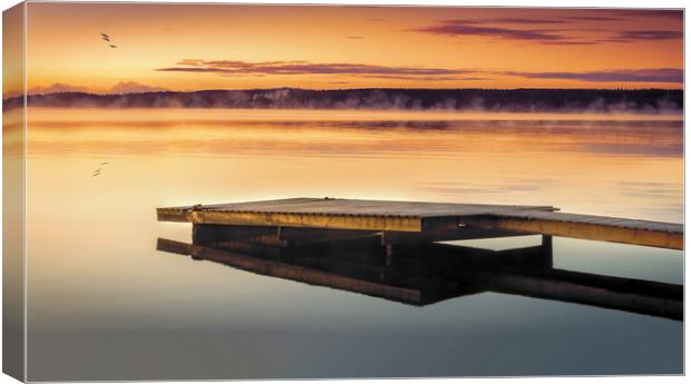 Sunrise in Sweden Canvas Print by Hamperium Photography
