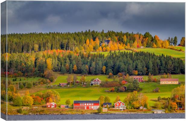 Autumn in Sweden Canvas Print by Hamperium Photography