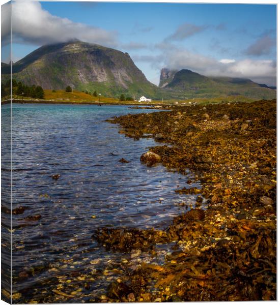 Lofoten Norway Canvas Print by Hamperium Photography