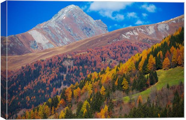 East Tirol in autumn. Austria. Canvas Print by Tartalja 