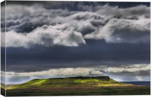 Addlebrough, Wensleydale, Yorkshire Dales Canvas Print by M Meadley