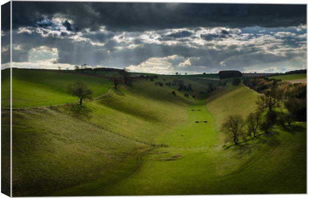 Thixendale, Yorkshire Wolds Canvas Print by M Meadley