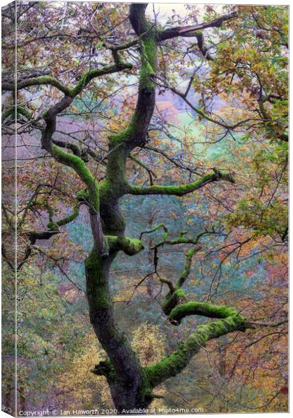 Autumn on The Edge Canvas Print by Ian Haworth